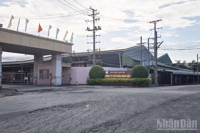 Công ty Nam Việt Bình Phú bị xử phạt hành chính 320 triệu đồng.