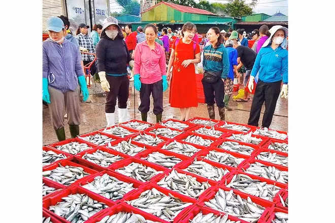 Theo dự thảo Luật An toàn thực phẩm (sửa đổi), quản lý an toàn thực phẩm phải gắn với một đầu mối rõ ràng. 