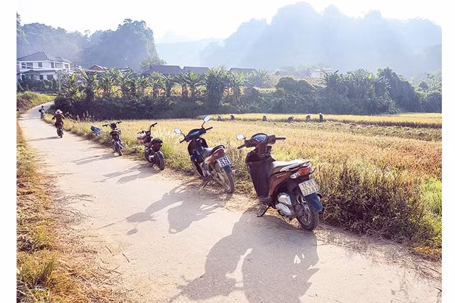Giao thông thuận lợi dẫn về thôn.
