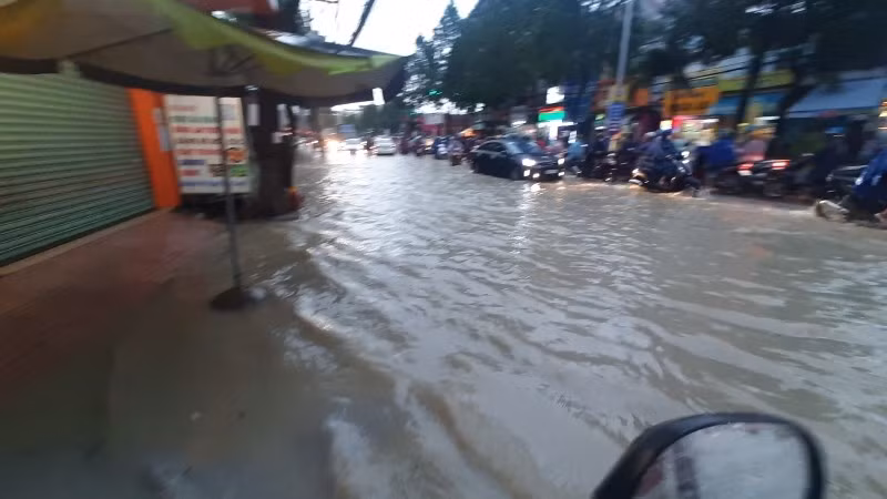 moitruong-9413.jpg