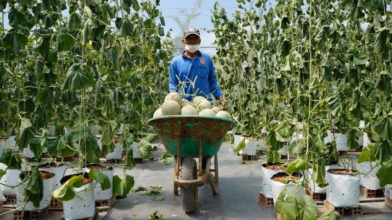 ngheo-8.jpg