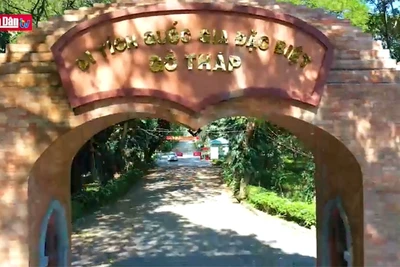 Di tích lịch sử và khảo cổ Gò Tháp