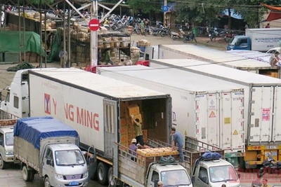 Bốc xếp hàng hóa chuyển qua cửa khẩu Cốc Nam. (ảnh HÙNG TRÁNG)