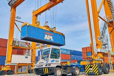 Ngay sau khi đi vào hoạt động, Cảng Gemalink (thị xã Phú Mỹ, tỉnh Bà Rịa-Vũng Tàu) trở thành bến cảng lớn nhất trong cụm cảng nước sâu Cái Mép-Thị Vải, góp phần hoàn thiện chuỗi cung ứng dịch vụ logistics của Tập đoàn Gemadept.