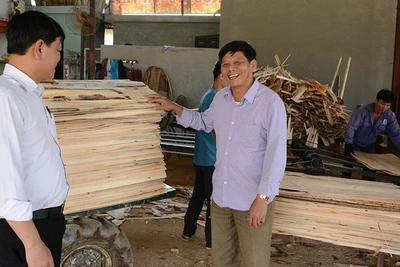 Ông Nguyễn Minh Tiến (bên phải) giới thiệu sản phẩm gỗ bóc tại xưởng chế biến gỗ rừng trồng.
