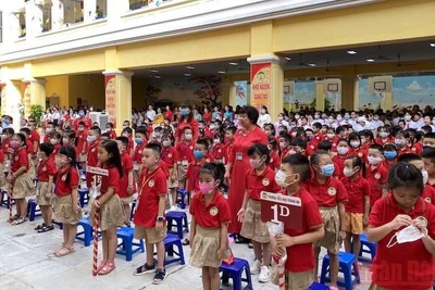 Ảnh minh họa. (Ảnh: Hoa Lê) 