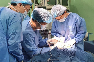 Các bác sĩ phẫu thuật cấy ốc tai điện tử cho trẻ. 