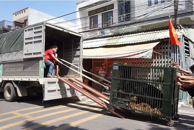 Vận chuyển gấu do người dân giao nộp về trung tâm chăm sóc, bảo tồn gấu.