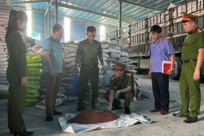 Đại diện các cơ quan chức năng kiểm tra, thu giữ phân bón giả.