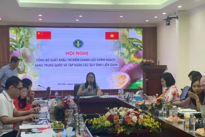 Cục Bảo vệ thực vật công bố xuất khẩu thí điểm chanh leo chính ngạch sang Trung Quốc chiều 7/7.