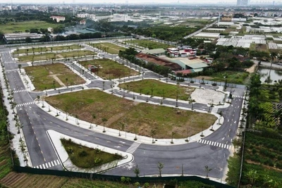 Khu đất ở xã Cổ Dương, huyện Đông Anh (thành phố Hà Nội) bị thâu tóm với giá rẻ thông qua hoạt động bán đấu giá. (Ảnh: CAO NGUYÊN)