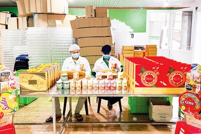 Chế biến hạt điều tại Công ty TNHH Vinahe (thị xã Phước Long, Bình Phước).