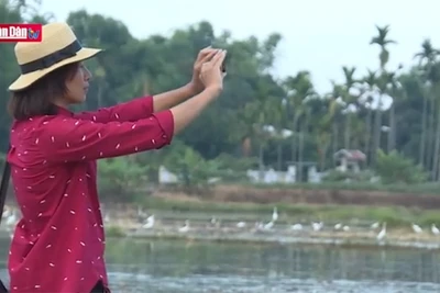 Độc nhất lễ hội Mục Đồng