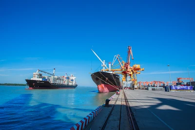 Cấp thiết phát triển đội tàu vận tải biển quốc gia