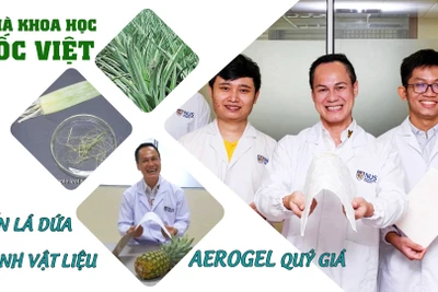 Nhà khoa học gốc Việt biến lá dứa thành vật liệu aerogel vô giá