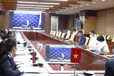 Chiến dịch đã triển khai qua 3 giai đoạn chính và 1 giai đoạn mở rộng với sự tham gia của 20 cơ quan Hải quan và thực thi pháp luật trong khu vực châu Á-Thái Bình Dương.