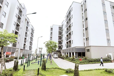 Khuôn viên cây xanh và đường đi lại trong dự án CT-08 Khu đô thị mới Thanh Lâm-Đại Thịnh 2 được xây dựng đồng bộ. (Ảnh Phan Anh Tuấn)