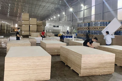 Hoạt động sản xuất tại nhà máy của Công ty TNHH Lechenwood Việt Nam trong khu công nghiệp Thanh Bình.