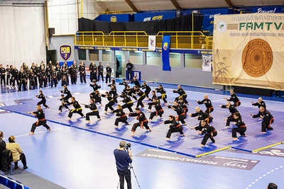 Liên hoan võ cổ truyền Việt Nam tại Pháp.