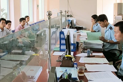 Làm thủ tục thông quan qua NSW. Ảnh: QUANG HÙNG