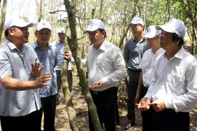 Các đại biểu tham quan vùng lõi của Khu bảo tồn thiên nhiên đất ngập nước Thái Thụy (Thái Bình).