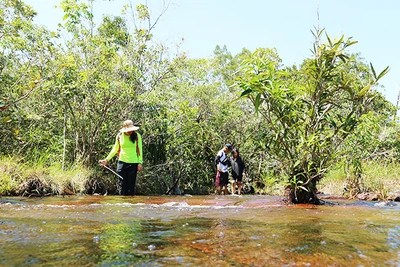 Đi bộ trong rừng Phú Quốc mang đến cho du khách những trải nghiệm mới mẻ.