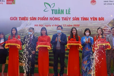 Nghi thức khai mạc Tuần hàng Yên Bái tại Big C Thăng Long. Ảnh: QUANG HƯNG