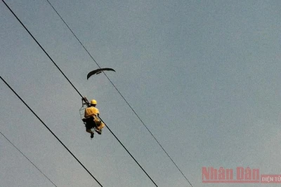Nhân viên Truyền tải điện Đông Bắc 3 vất vả tháo gỡ những chiếc diều mắc vào đường dây