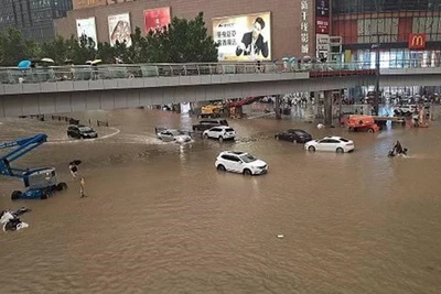 Trung tâm thành phố bị úng ngập, giao thông tê liệt.