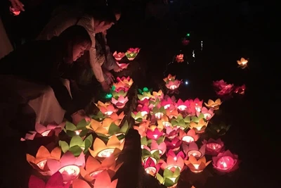 Ảnh minh họa. (Ủy ban An toàn giao thông quốc gia cung cấp)