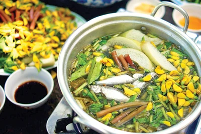 Bóng vườn xanh thắm
