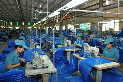 Xưởng may bao bì của Công ty TNHH một thành viên 76, xã Kiêu Kỵ, huyện Gia Lâm (Hà Nội). Ảnh: THANH TRÚC