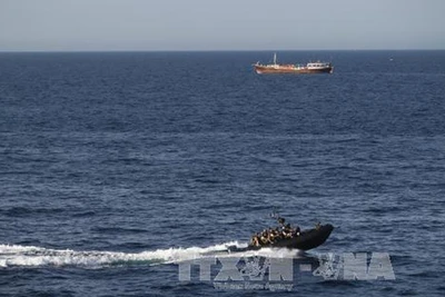 (Ảnh minh họa: TTXVN)