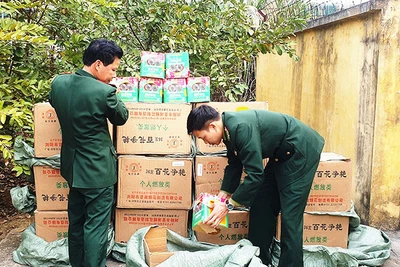 Bắt giữ pháo nổ nhập lậu ở Lào Cai.