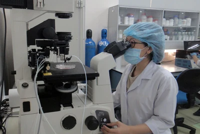 Nghiên cứu khoa học tại Đại học Quốc gia TP Hồ Chí Minh.