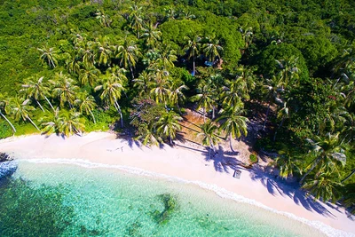 Vườn quốc gia Phú Quốc sở hữu khung cảnh ấn tượng của những màu xanh (Ảnh: Jimmy Tran / Shutterstock)