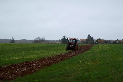 Một cánh đồng ở Villeneuve-sur-Auvers, gần Paris, Pháp. (Ảnh: Reuters)