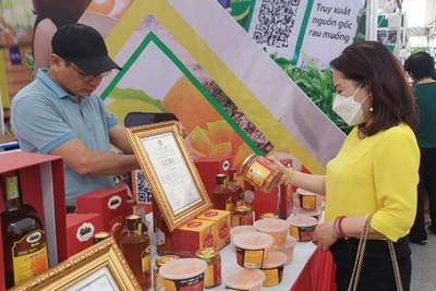 Người tiêu dùng mua sắm các sản phẩm an toàn tại hội chợ.