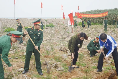 Cán bộ, chiến sĩ Tiểu đoàn đảo Bạch Long Vĩ phối hợp chính quyền và nhân dân trên đảo thực hiện công trình "Vì màu xanh đảo tiền tiêu".