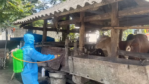 Phun hóa chất diệt côn trùng phòng chống lây lan dịch bệnh tại thôn Lùng Tám, xã Lùng Tám, tỉnh Tuyên Quang.
