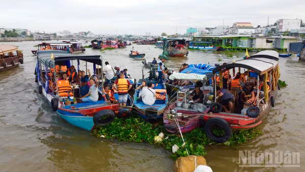 Không chỉ là nơi mua bán, chợ nổi đã trở thành một biểu tượng lâu đời của văn hóa sông nước miền Tây Nam Bộ.