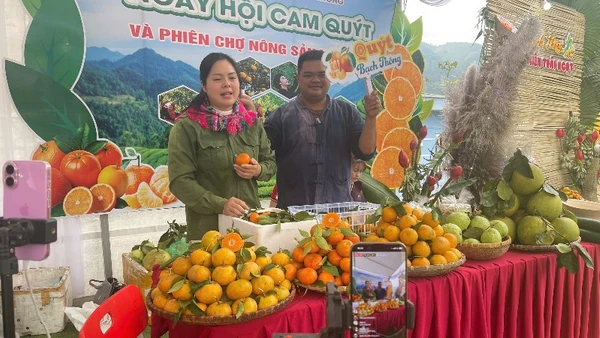 Livestream bán hàng cam, quýt tại Ngày hội. (Ảnh: DUY KHÁNH)