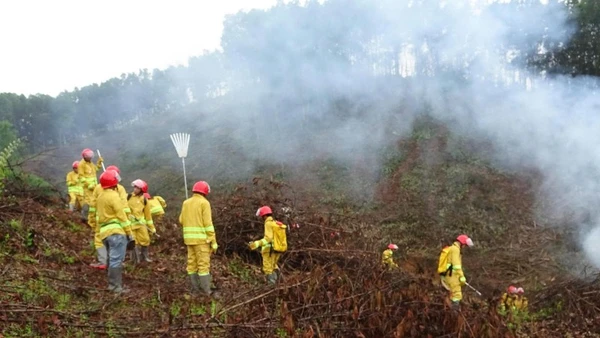 Thực hành, huấn luyện chữa cháy rừng tại xã Bằng Vân. (Ảnh: TUẤN SƠN).