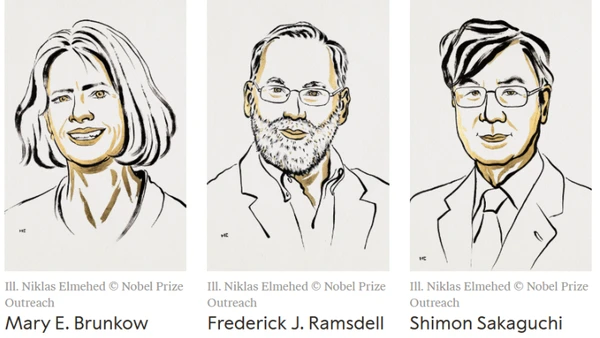 Chân dung 3 nhà khoa học là chủ nhân của Giải Nobel Y sinh 2025. (Ảnh: Nobelprize.org)