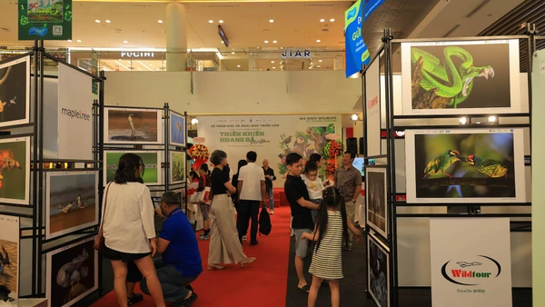 Khách tham quan triển lãm.