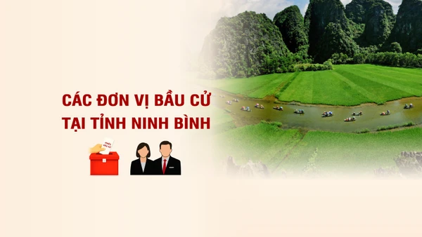 [Infographic] Các đơn vị bầu cử đại biểu Quốc hội tại tỉnh Ninh Bình