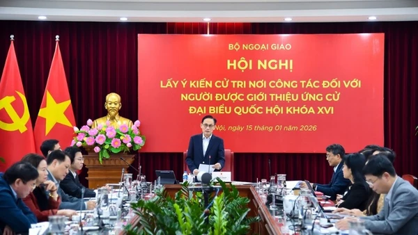 Bộ trưởng Ngoại giao Lê Hoài Trung phát biểu tại hội nghị. (Ảnh: Bộ Ngoại giao)