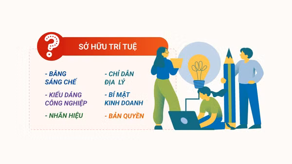 [Infographic] Các loại hình chính của quyền sở hữu trí tuệ