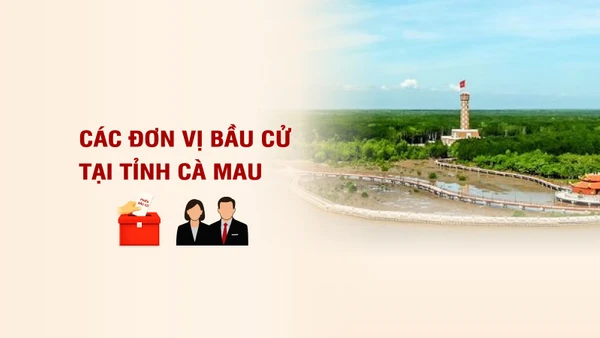 [Infographic] Các đơn vị bầu cử đại biểu Quốc hội tại tỉnh Cà Mau