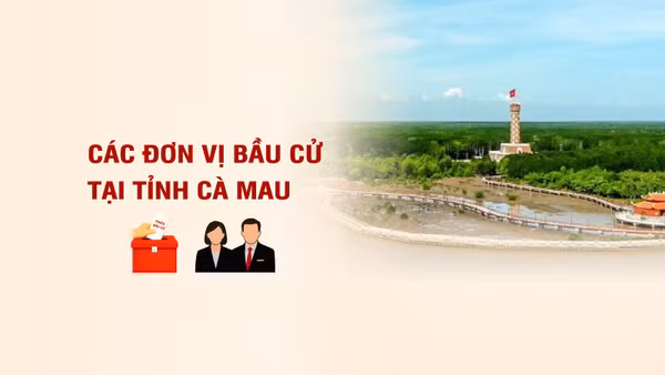 [Infographic] Các đơn vị bầu cử đại biểu Quốc hội tại tỉnh Cà Mau